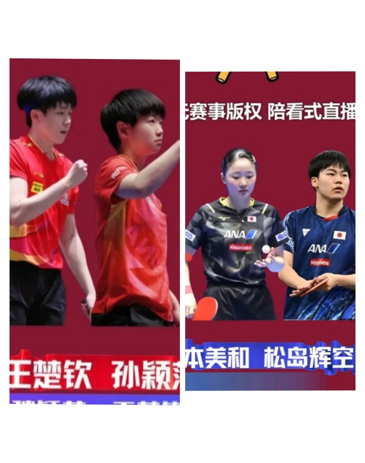 法国乒乓球队完胜波兰乒乓球队，张本智和制霸全场