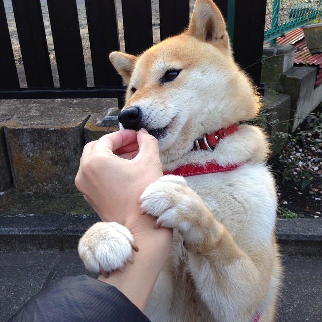 闪电战靴下的绿茵诗篇，恩佐三连击，哥斯达黎加雷霆万钧冲破翡冷翠