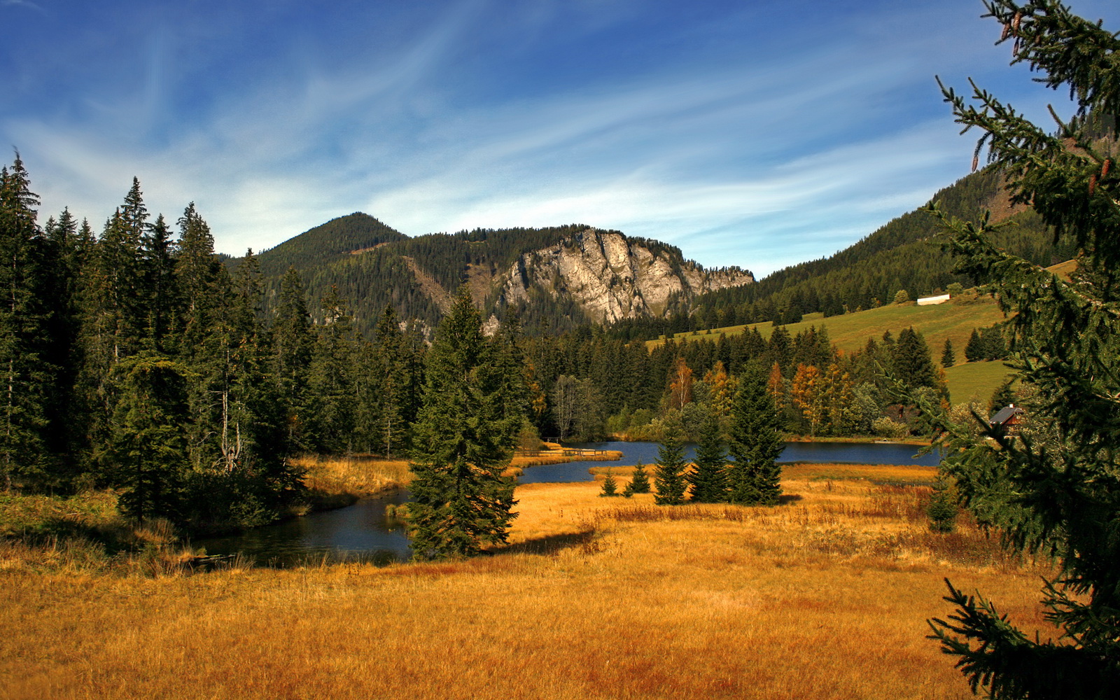 他的哨声不在今晚响起，当文班亚马凝视深渊时，深渊在震颤