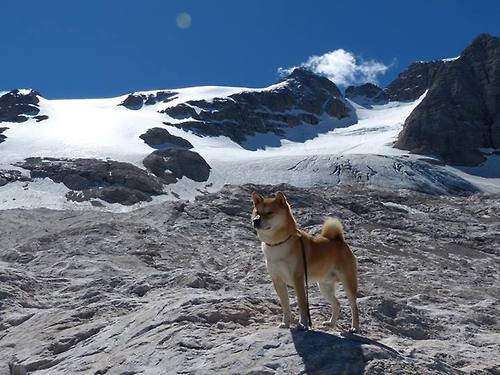 人声鼎沸，心如止水，楚阿梅尼的德冠战夜与巨人舞台