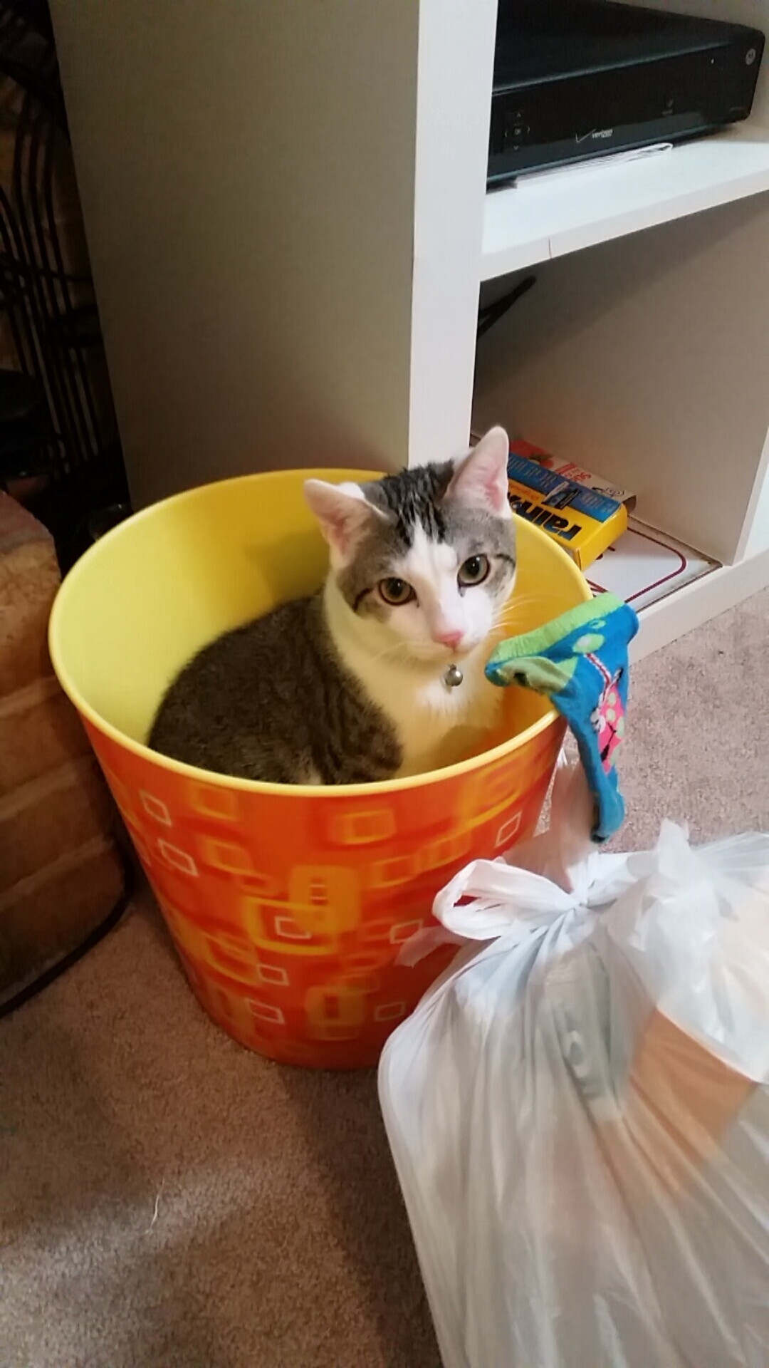 双城记,北京队制霸掘金,爱德华兹在东决关键战接管比赛