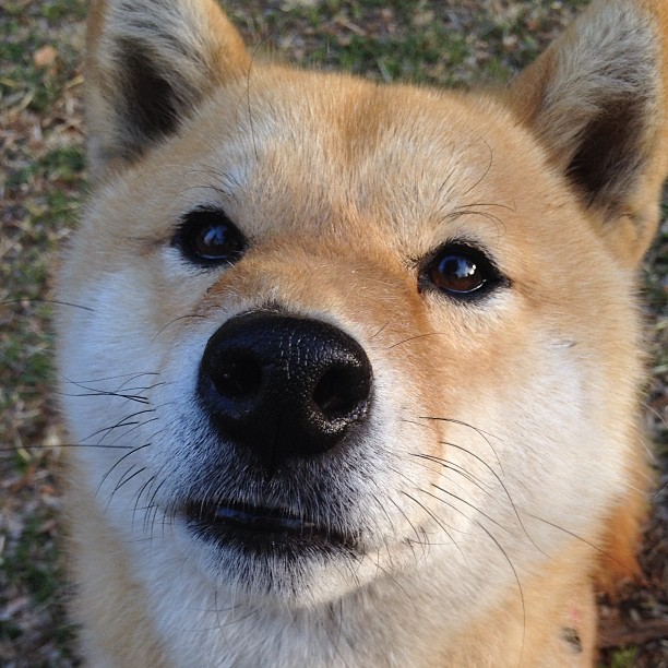定义这个夜晚的唯一，文班亚马的巨星闪耀与辽宁队的铁血洪流