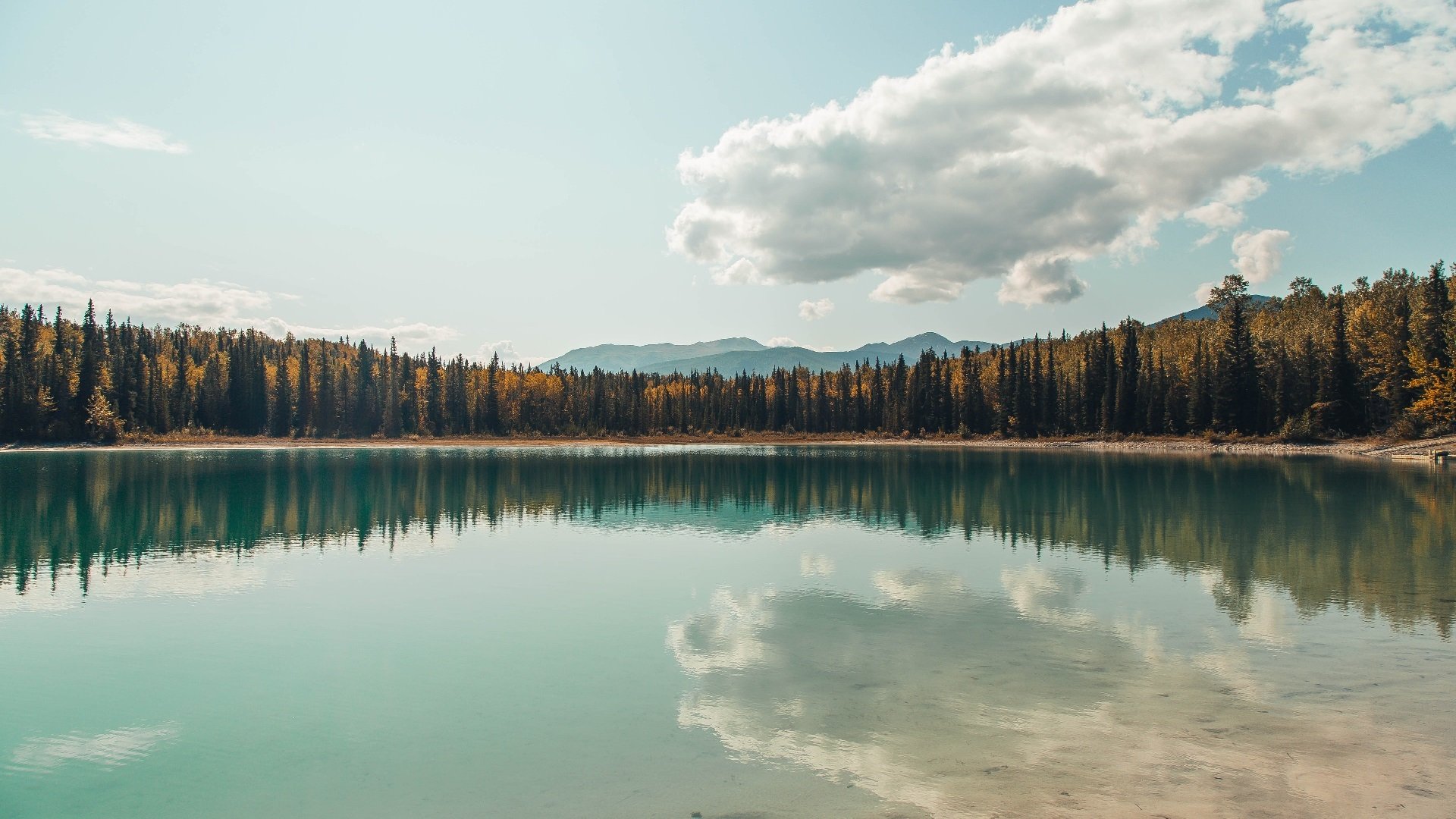 体育之夜的奇妙共振,欧洲足球之夜与洛杉矶篮球风暴