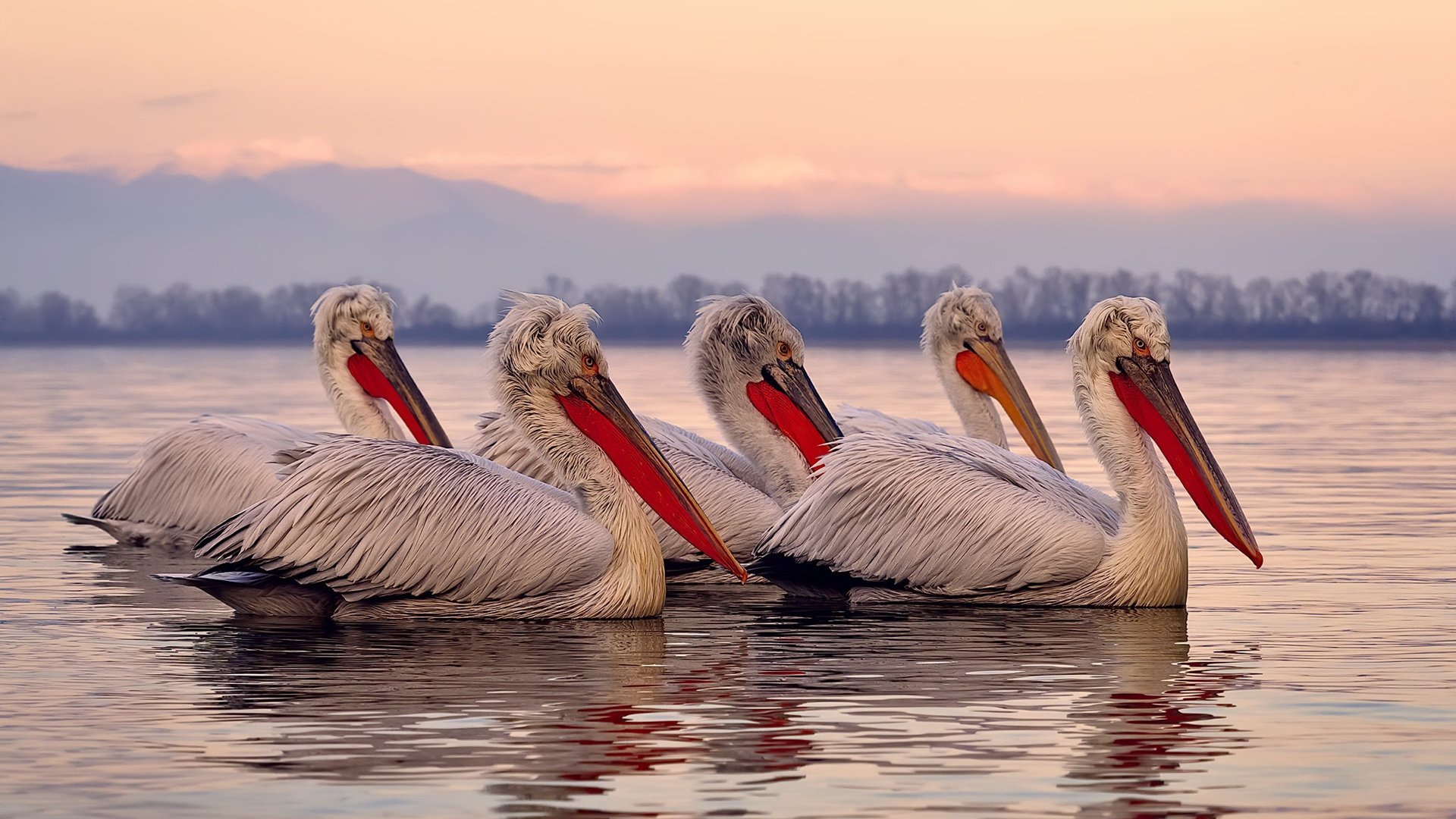 当绿茵场施展篮球魔法，那场2026唯一让勇士哑火的魔术翻盘