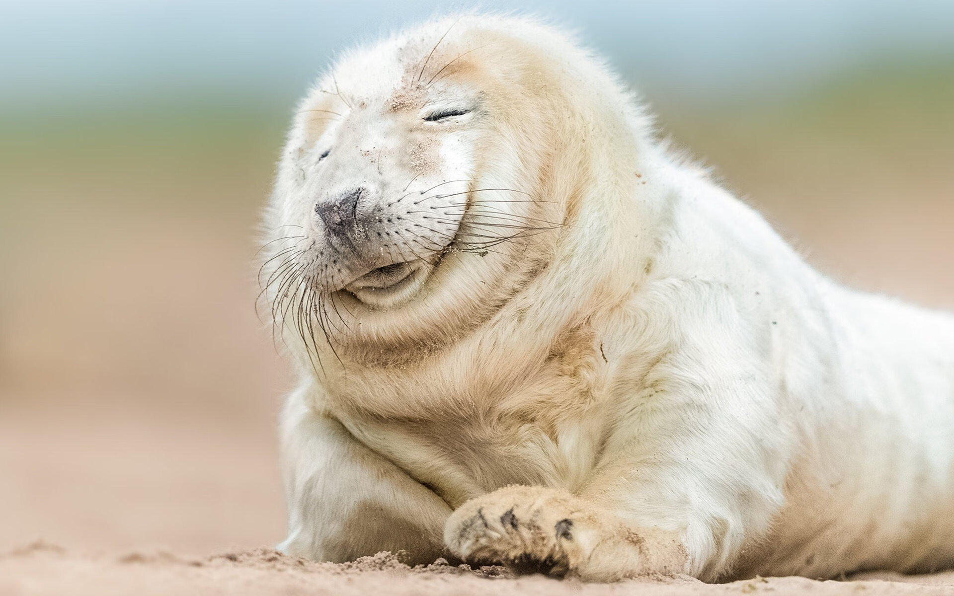 战术完胜!克罗地亚的冷静刀锋,如何让雷恩的青春风暴黯然熄火