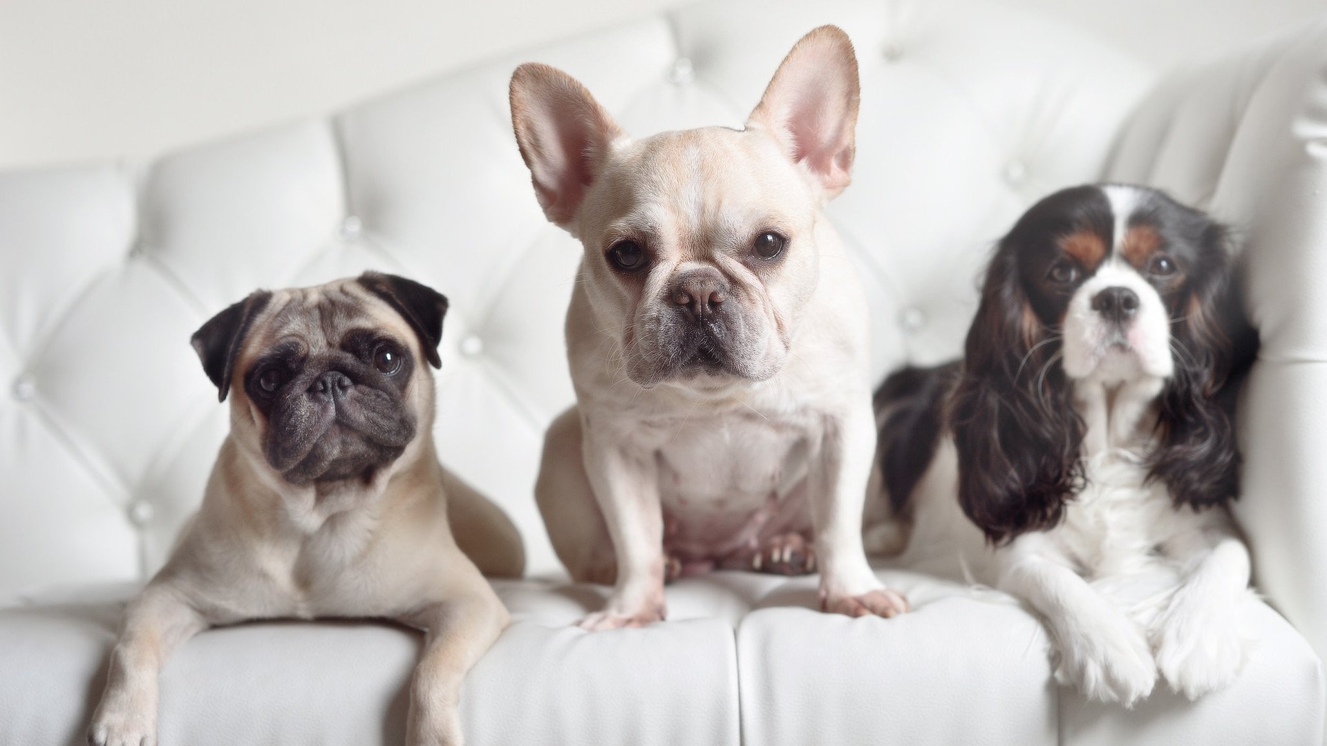 双线奇迹,勇士铁壁封锁奥兰多,锡安降临德甲争冠战接管绿茵