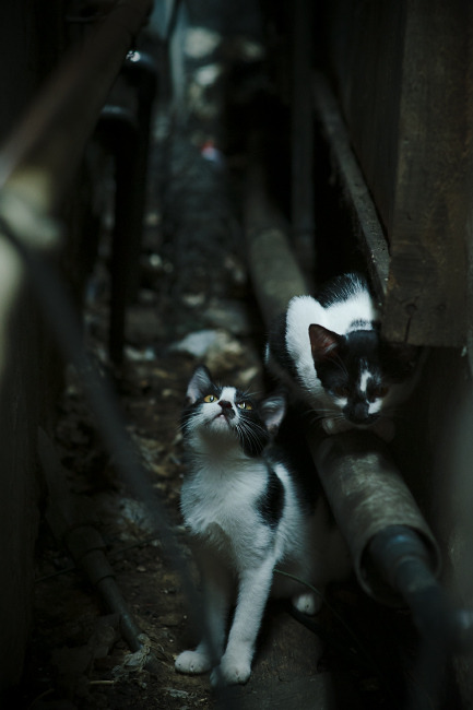 枪手复仇记,当阿森纳在温布利强势拿下德国,格纳布里打出统治级数据