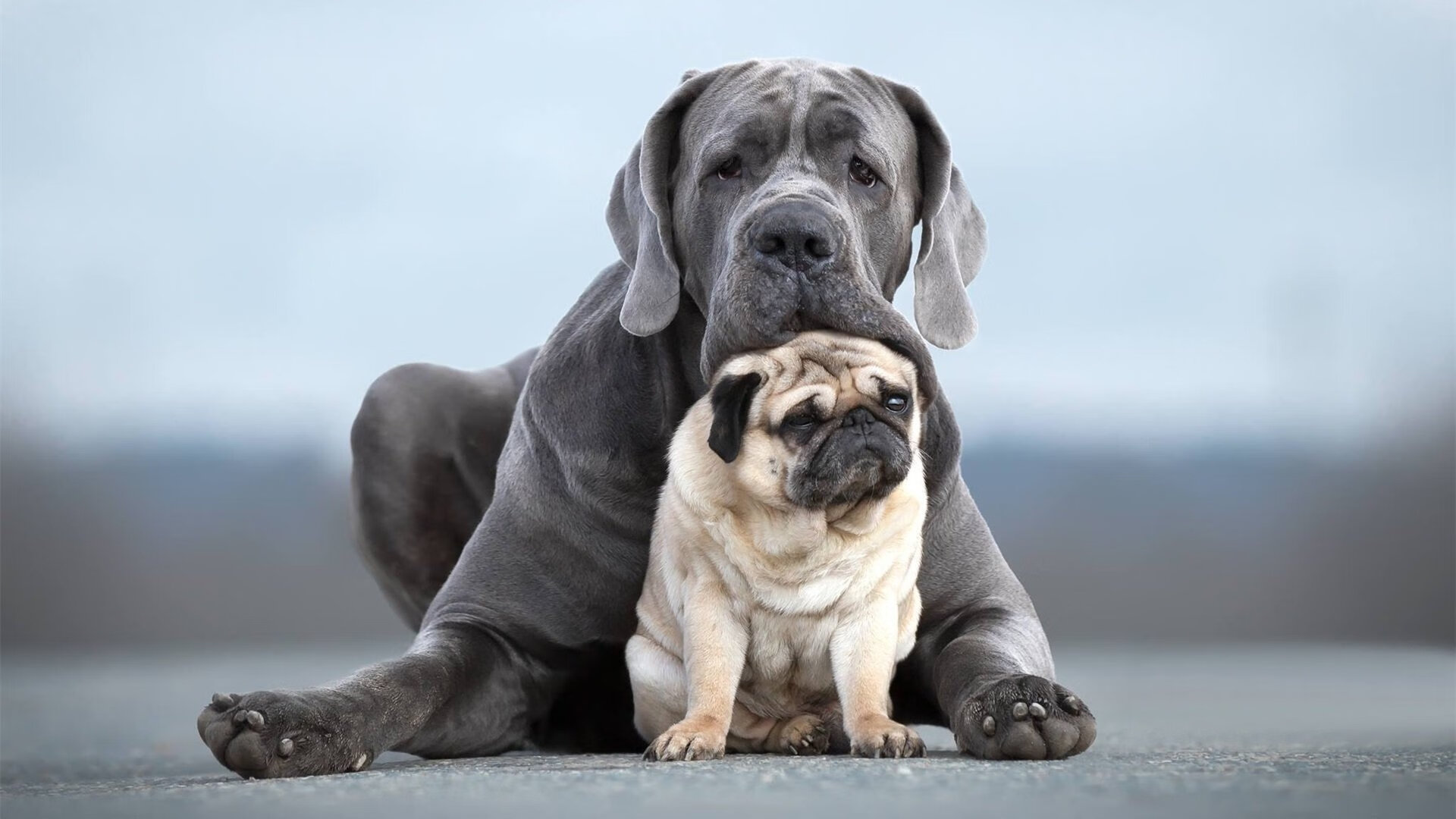 铁血防守筑铜墙，马克西淬火成利刃