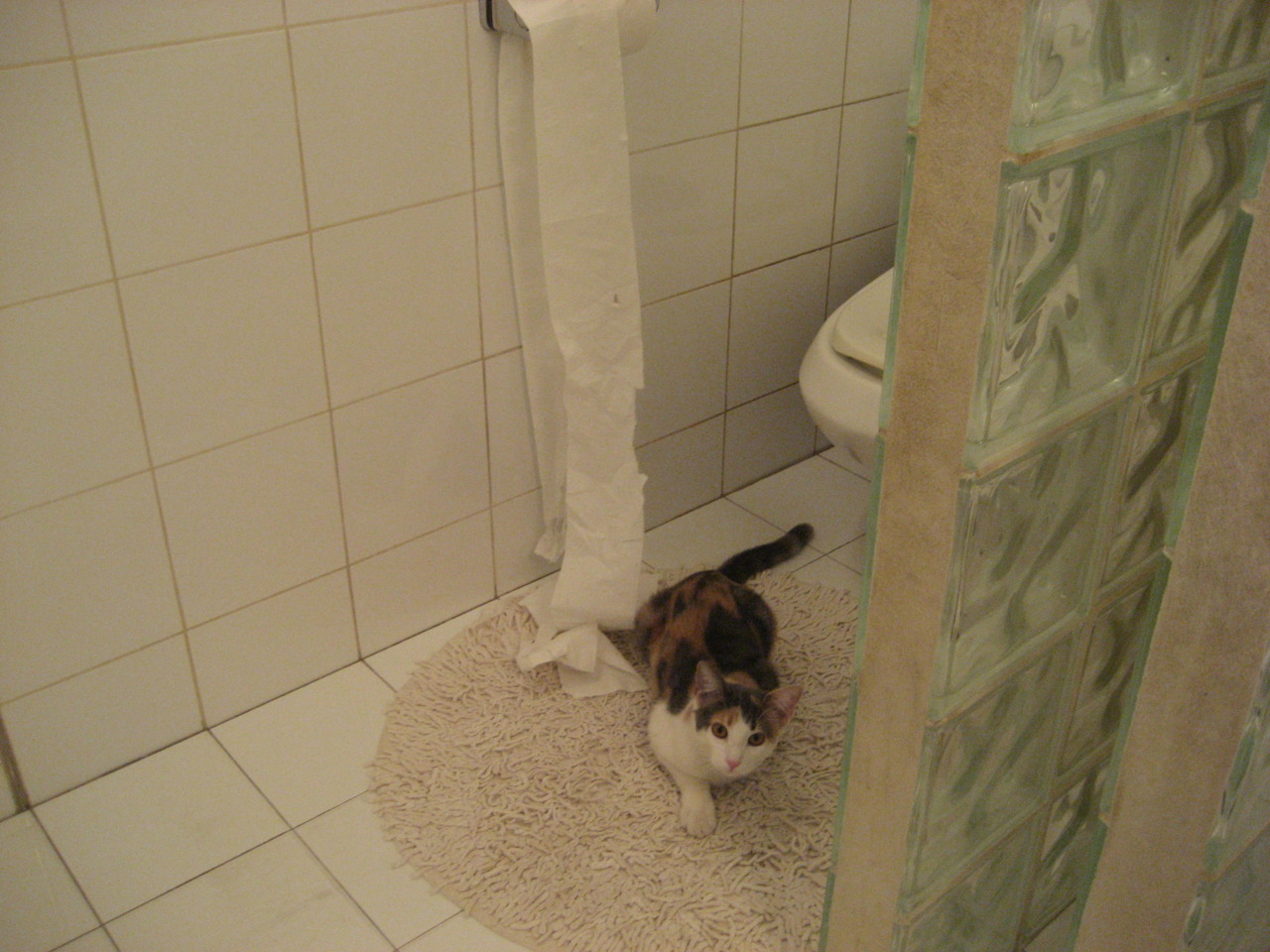 数据谬误与英雄主义，当范弗利特的接管重新定义击溃—一场篮球哲学的胜利