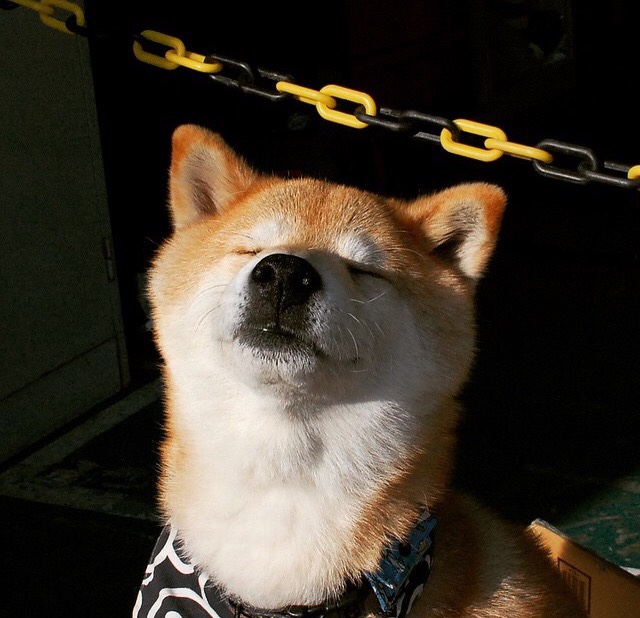 抢七夜的金色洪流，勇士用团队火焰熔铸胜利