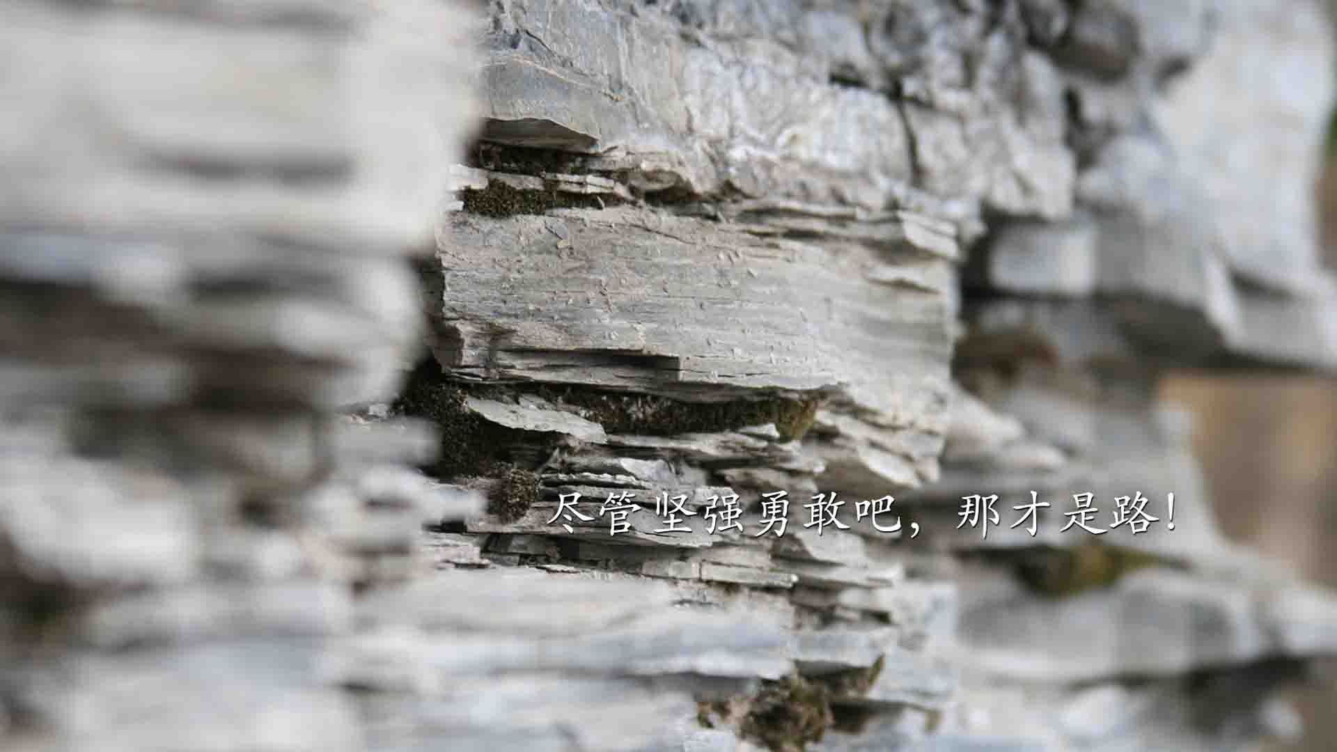 冷冽的北境之光,2026世界杯F组,冰岛替补奇兵一剑封喉,努涅斯闪耀全场力克比利时